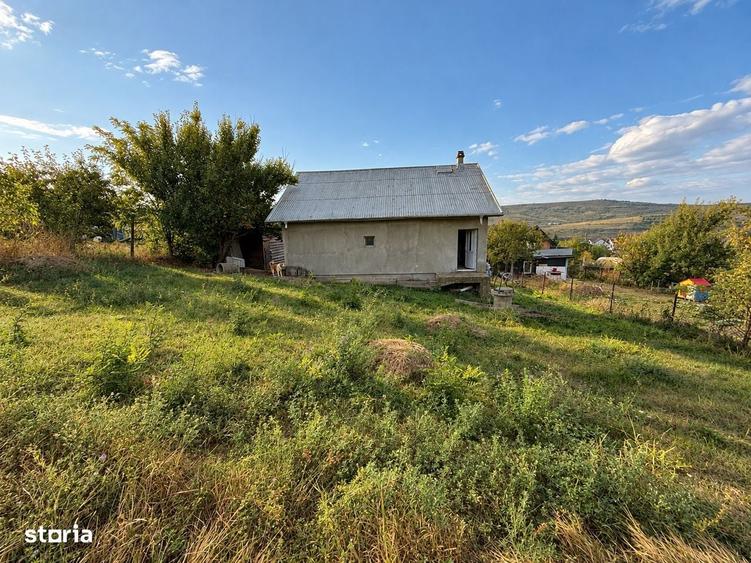Casă cu 3 camere în Dorobanț