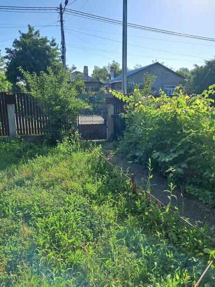 Casă cu 3 camere cu Teren 3000 Mp în Central
