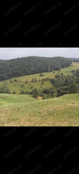 Teren de 10000 mp, în Moieciu