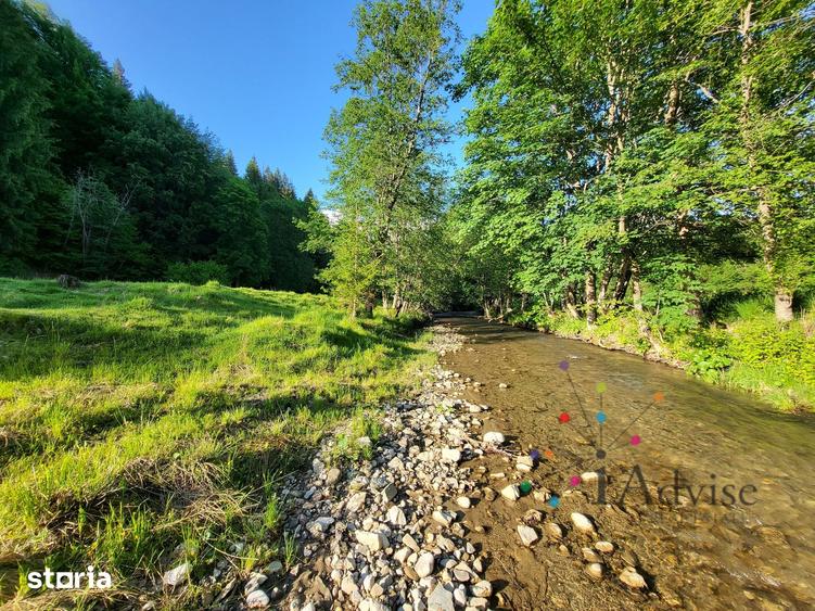 Teren de 12000 mp, în Vama Buzăului
