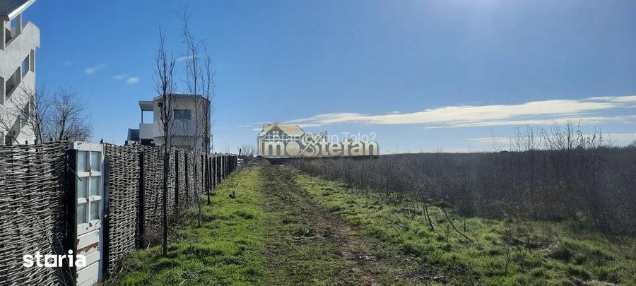 Teren Intravilan Vama Veche | 7.495 mp | Oportunitate Investi?ie