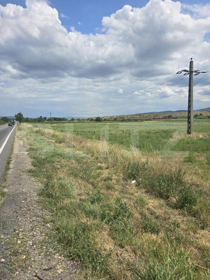 Teren agricol extravilan de 49975 mp, în Urvind