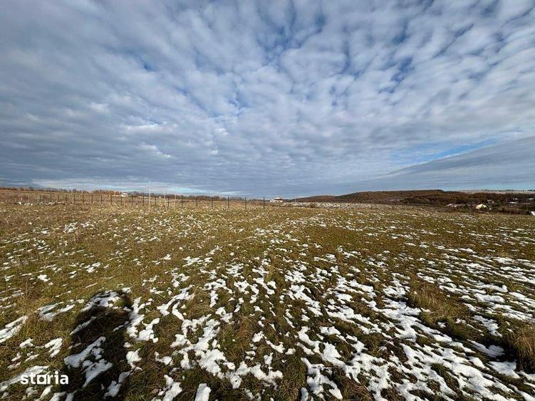 Teren de 1239 mp, în Pișchia
