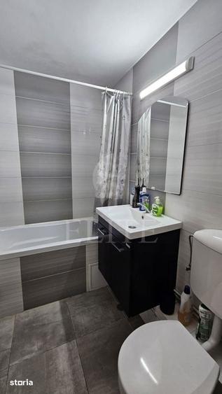Apartament 2 camere in zona STR. LUNII - 13