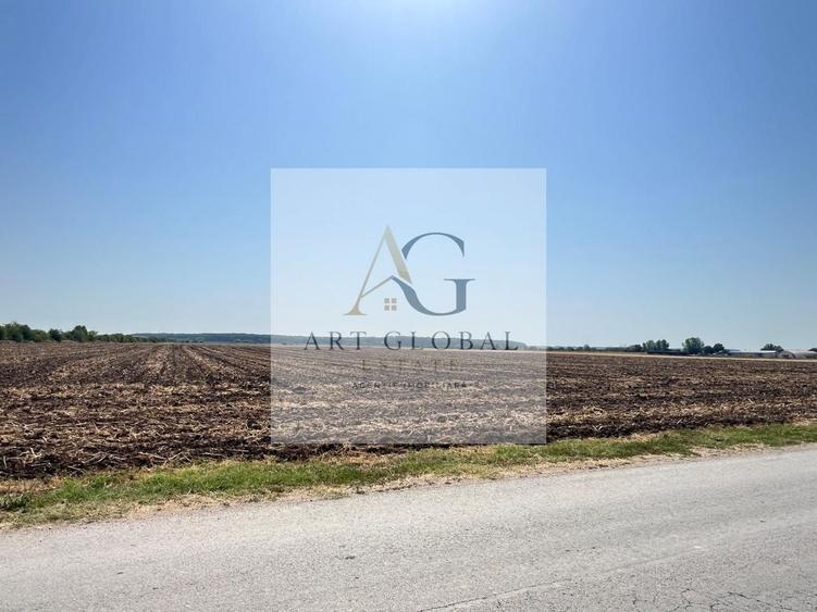 Teren Construcții intravilan de 65600 mp, în Căciulați