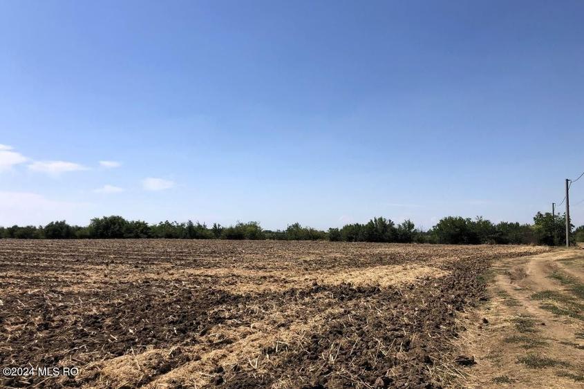 Teren Construcții extravilan de 11884 mp, în Moara Vlăsiei