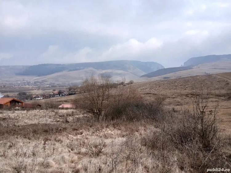 Vand teren intravilan Petrestii de Jos - 2