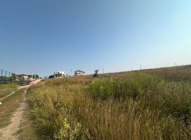 Teren agricol intravilan de 960 mp, în Mogoșoaia