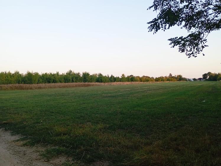 Teren intravilan 4800 mp lângă pădure în Scroviștea - 9