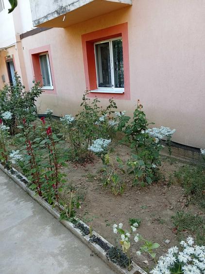 Apartament cu 2 camere decomandat în Diniaș