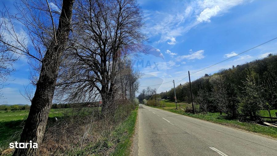 Teren de 10000 mp, în Vânători-Neamț