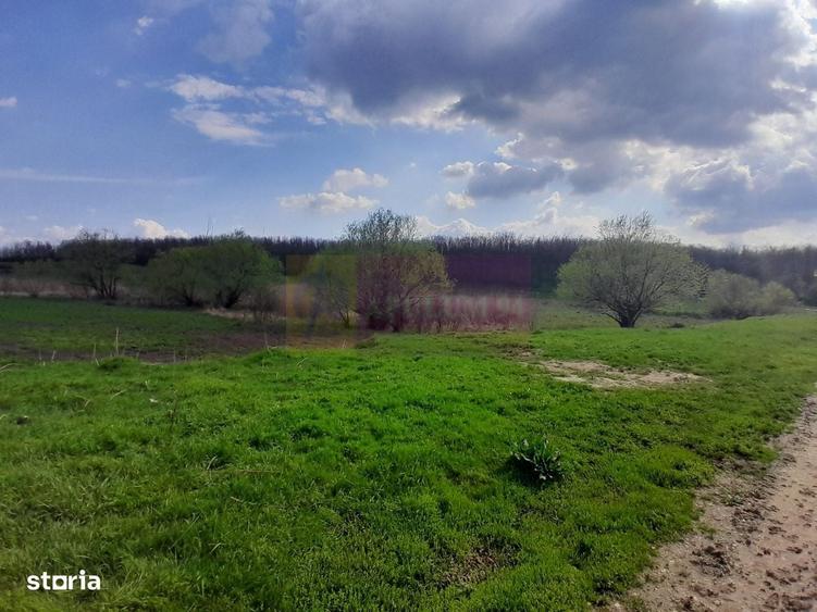 De Vanzare Teren 3400 Mp In Sat Podu Ilfovat / Com Buturugeni (Gr) - 8