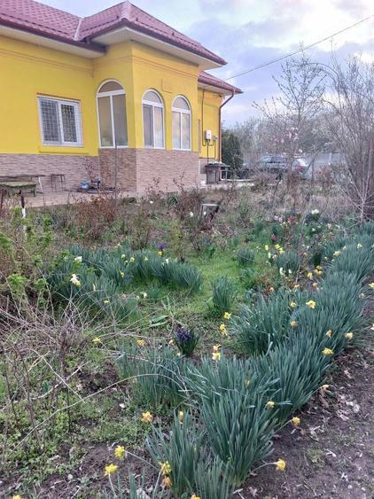Casă cu Teren 6079 Mp în Celaru
