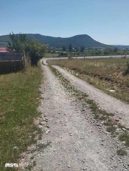 Teren intravilan 2900 mp cu utilitati-Zona MOL Viisoara - 2