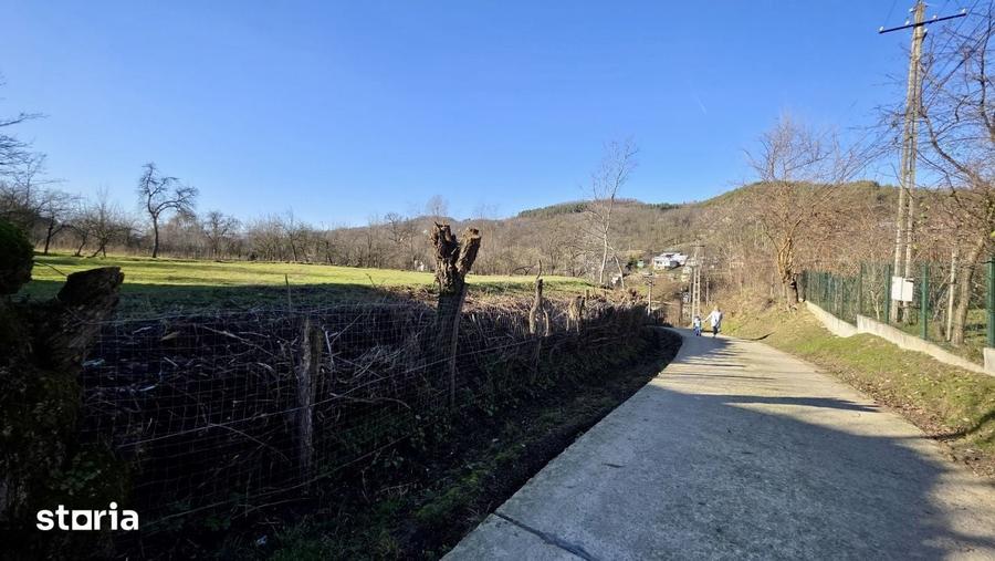 Teren 4.549 mp intravilan, cu posibilitate de parcelare. - 10