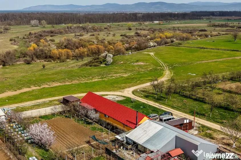 Casă cu 3 camere cu Teren 289 Mp în Frumușeni