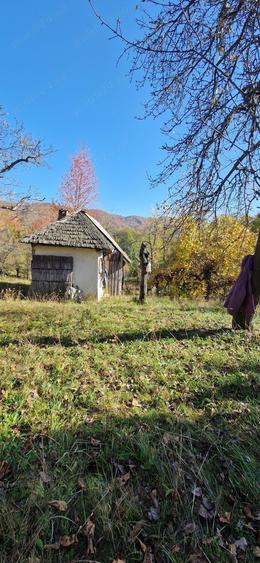 Teren de 10076 mp, în Nucșoara