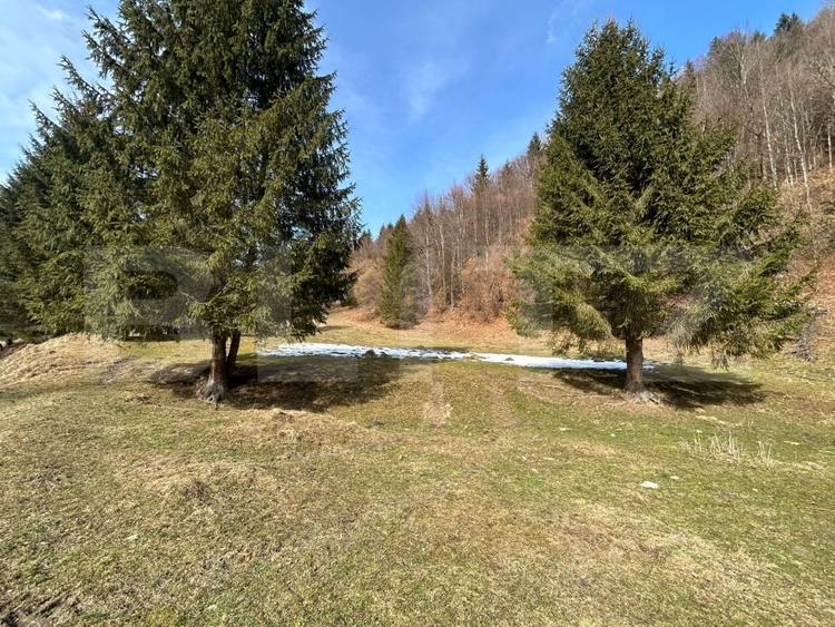Teren exceptional de vanzare, 5170 mp  zona Plaiul Foii, Zarnesti - 7