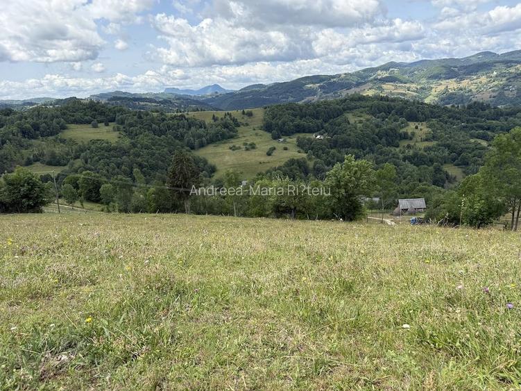 Teren de 5000 mp, în Năpăiești