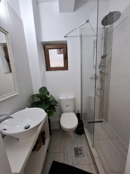 Apartament cu 3 camere decomandat, mobilat în Domenii