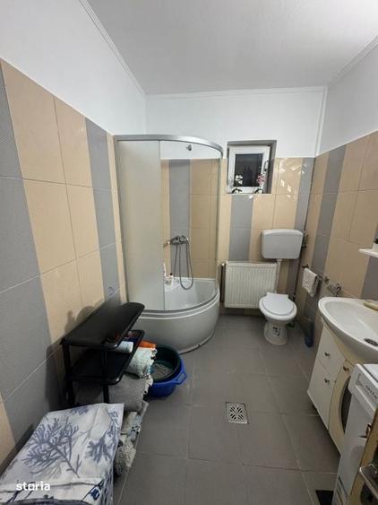 Casa cu suflet si 40 ari teren, panorama superba, complet utilata - 13