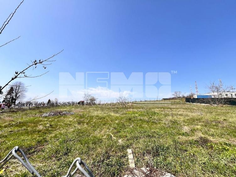Teren agricol intravilan de 2600 mp, în Moara