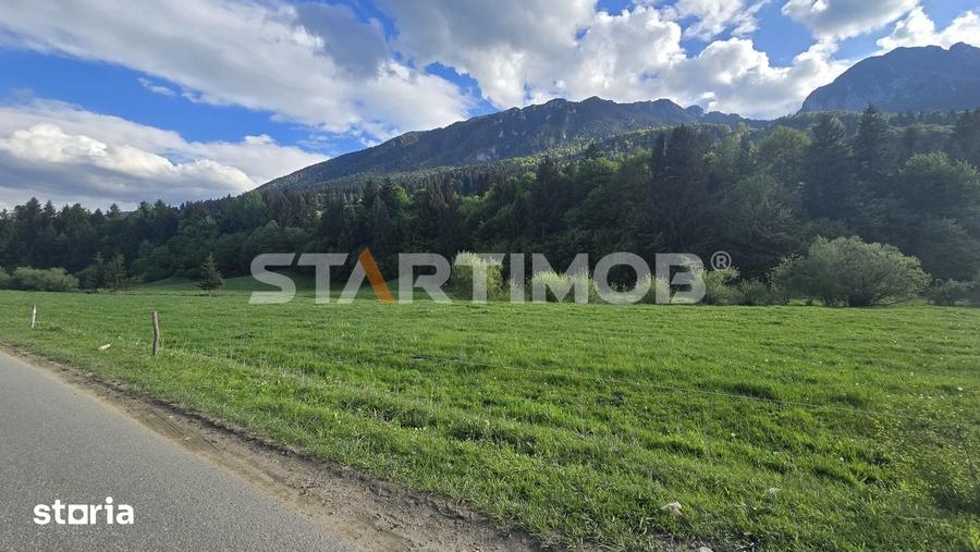 Teren de 7600 mp, în Plaiul Foii