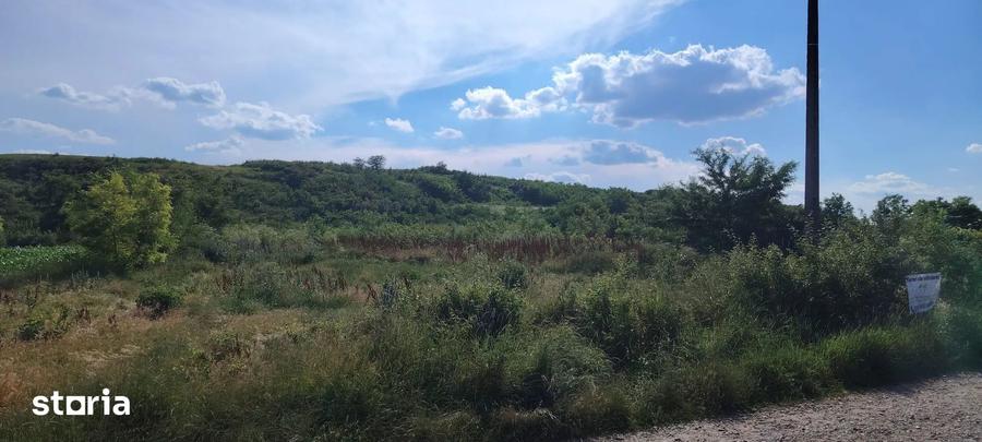 Teren intravilan de vanzare 5.000 mp, Com. Belce?ti (sat Rusi) - 5