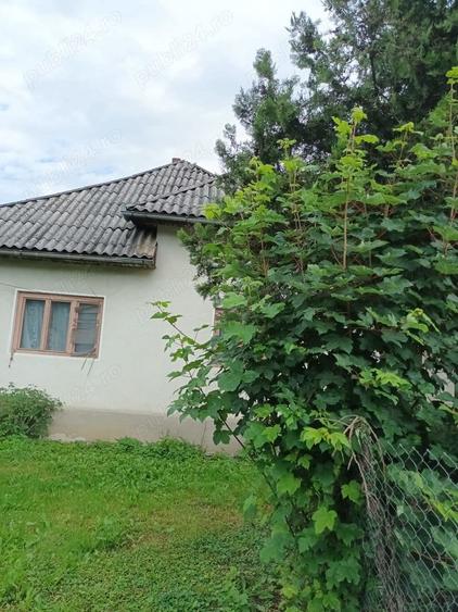 Casă în Săliște