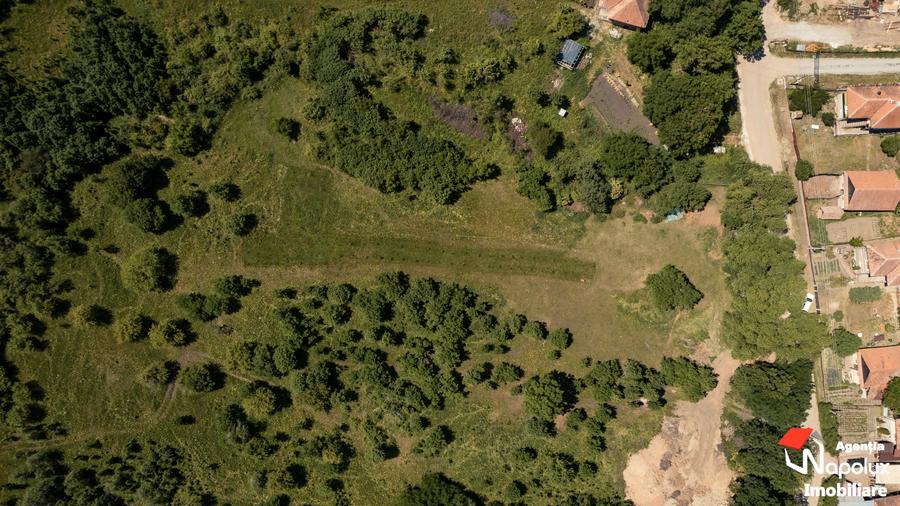 Teren Construcții intravilan de 3382 mp, în Corușu