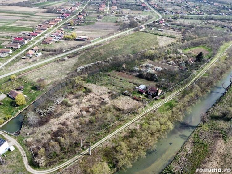 Teren de 22500 mp, în Balinț