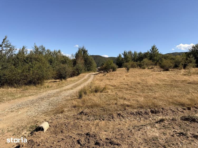 Teren de 850 mp, în Central