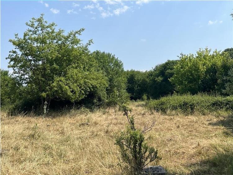 Teren Construcții intravilan de 2337 mp, în Tileagd