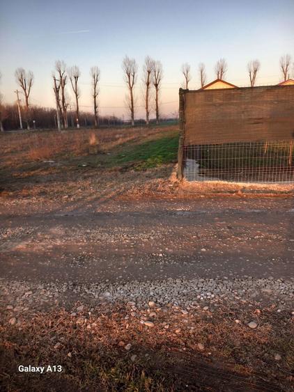 Teren de 500 mp, în Găneasa