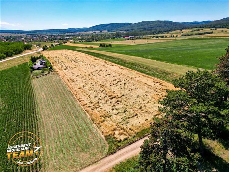Teren agricol extravilan de 2268 mp, în Valea Crișului