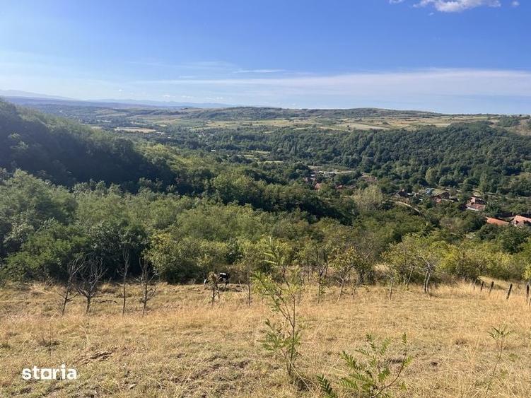 Teren de 20000 mp, în Stremț