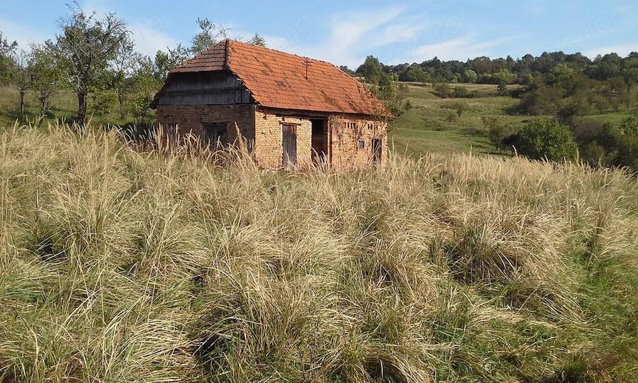 Casă cu Teren 4200 Mp în Șard