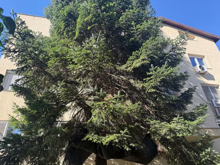 Apartament cu 4 camere decomandat, mobilat în Barbu Văcărescu