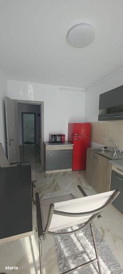Apartament 2 camere, zona Theodor Pallady - Pet Friendly - 8