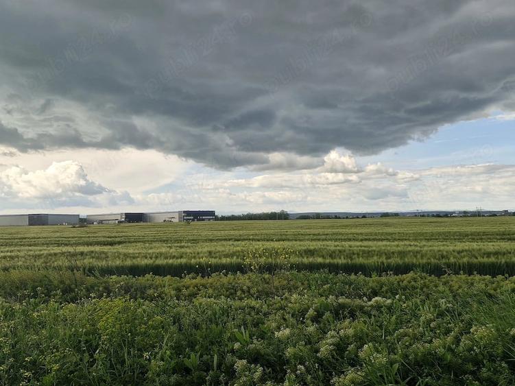 Teren de 5000 mp, în Vest