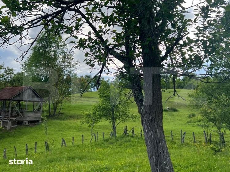 Teren de 5800 mp, în Șoimuș