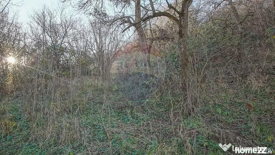 Casă cu 2 camere cu Teren 1000 Mp în Central