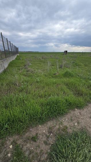Teren Construcții intravilan de 800 mp, în Năvodari