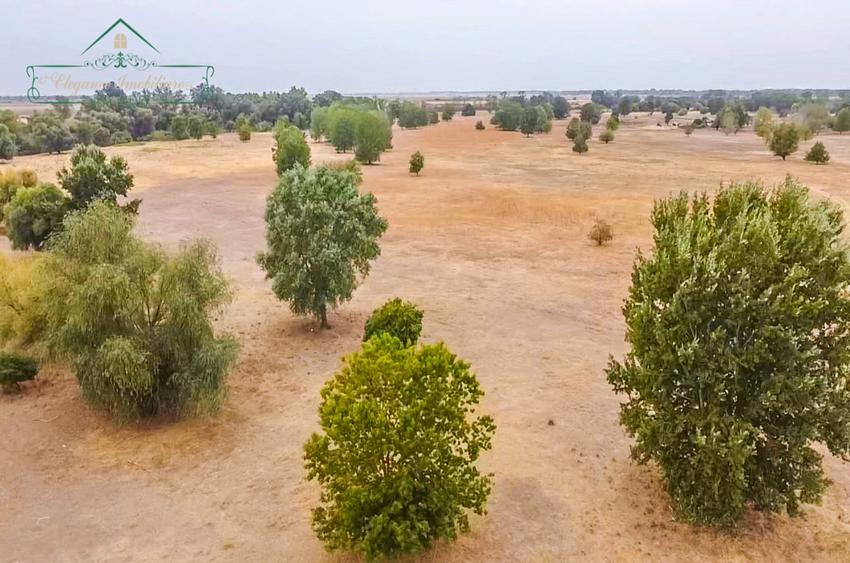 Teren agricol extravilan de 1180000 mp, în Secusigiu
