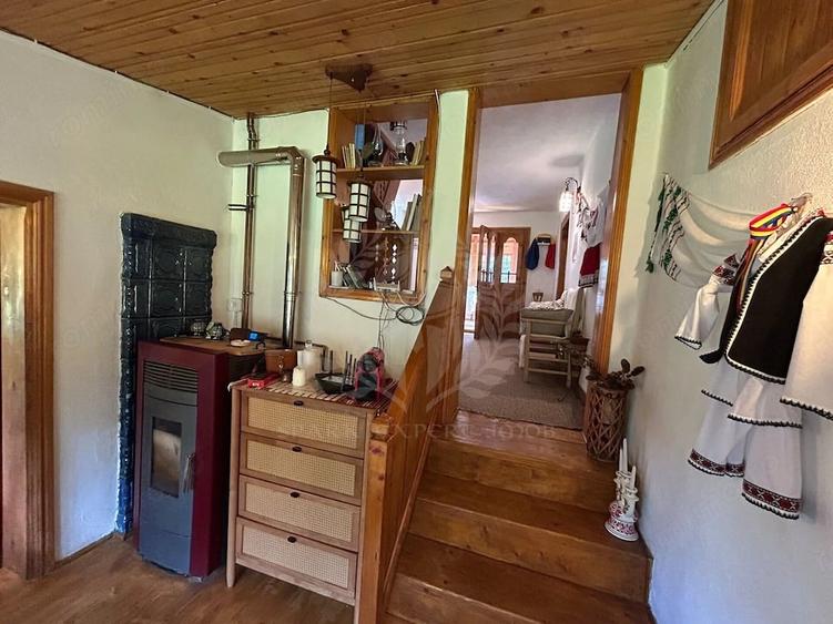 Casă cu Teren 10000 Mp în Plai