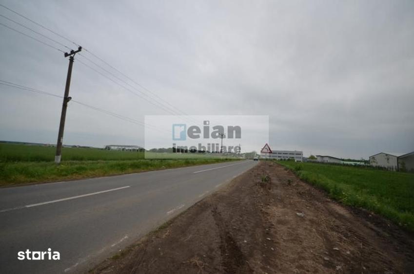 Teren de 70000 mp, în Dascălu
