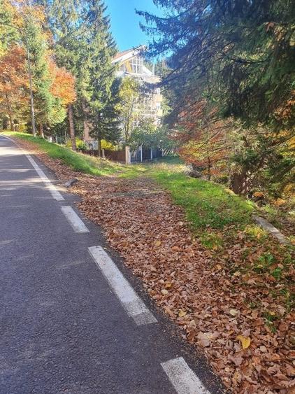 Teren Construcții intravilan de 2000 mp, în Poiana Brașov