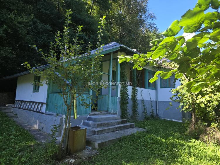 Casă individuală cu 3 camere cu Teren 3159 Mp în Gogeasca