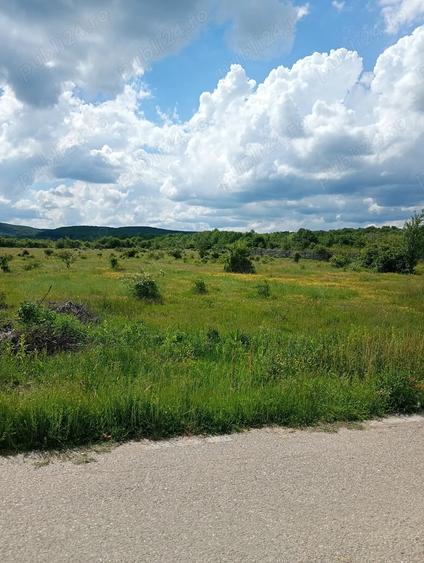 Teren de 1500 mp, în Merișani
