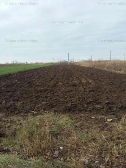 Teren intravilan de 3000 mp, în Chiscani